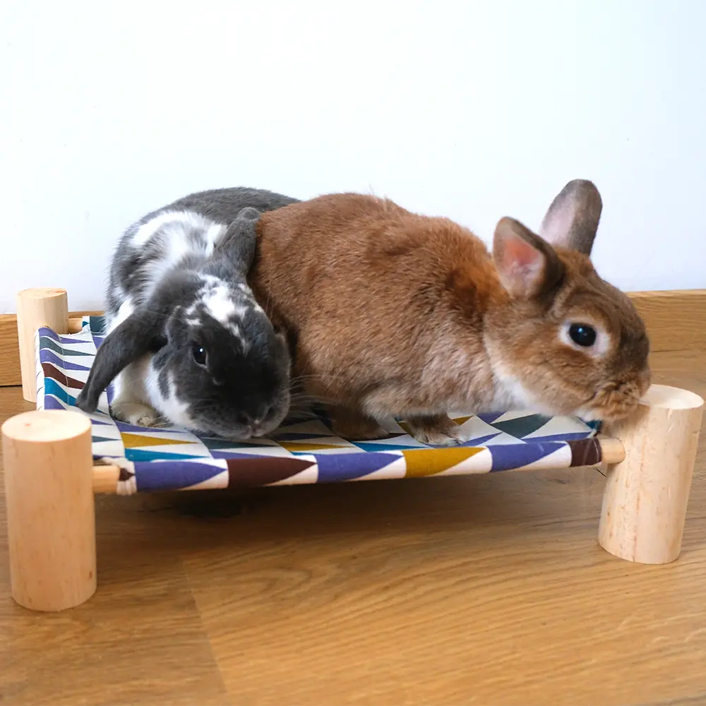 hamac à lapin nain