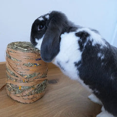 Maxi rouleau de foin lapin