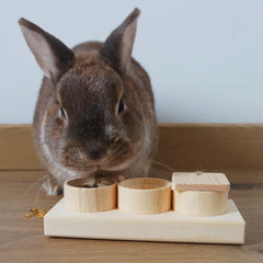 jeu intelligence pour lapin en bois