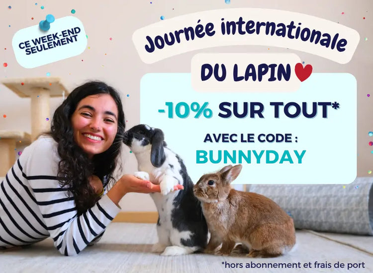 boutique pour lapin de compagnie