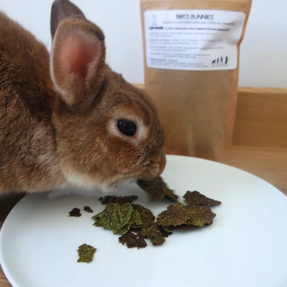 Quel Accompagnement Pour Le Lapin L'alimentation Du Lapin 5 Complément alimentaire pour lapin - Le meilleur pour mon lapin