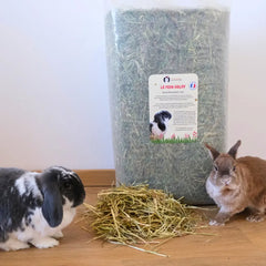 meilleur foin pour lapin 
