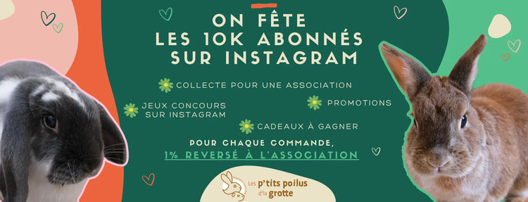 boutique pour lapin de compagnie Le meilleur pour mon lapin