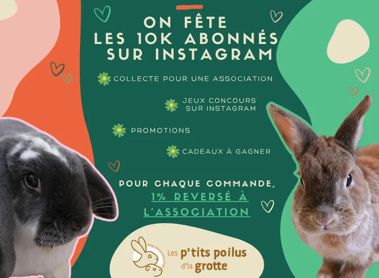 lapin boutique meilleur produit