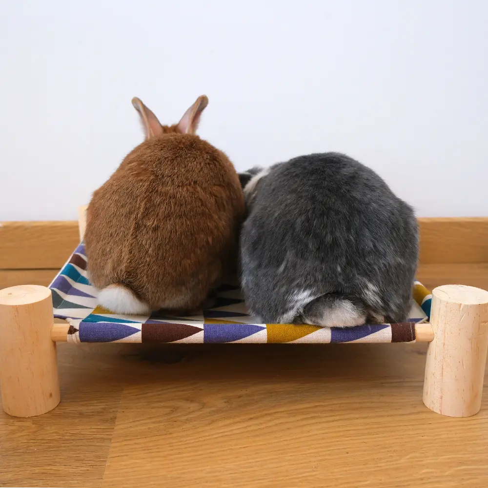 hamac pour lapin nain
