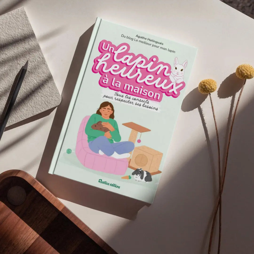 Livre - Un lapin heureux à la maison