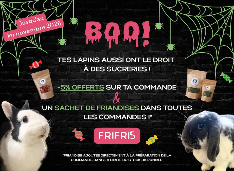 offre halloween le meilleur pour mon lapin