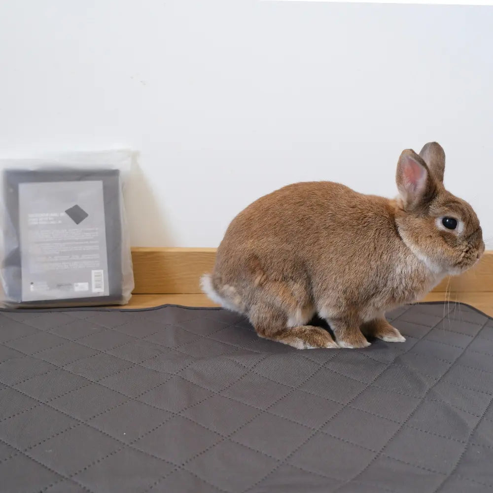 litière lavable pour lapin
