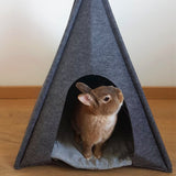 Joli tipi lapin grand format lapin géant