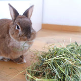 Foin lapin d'Occitanie