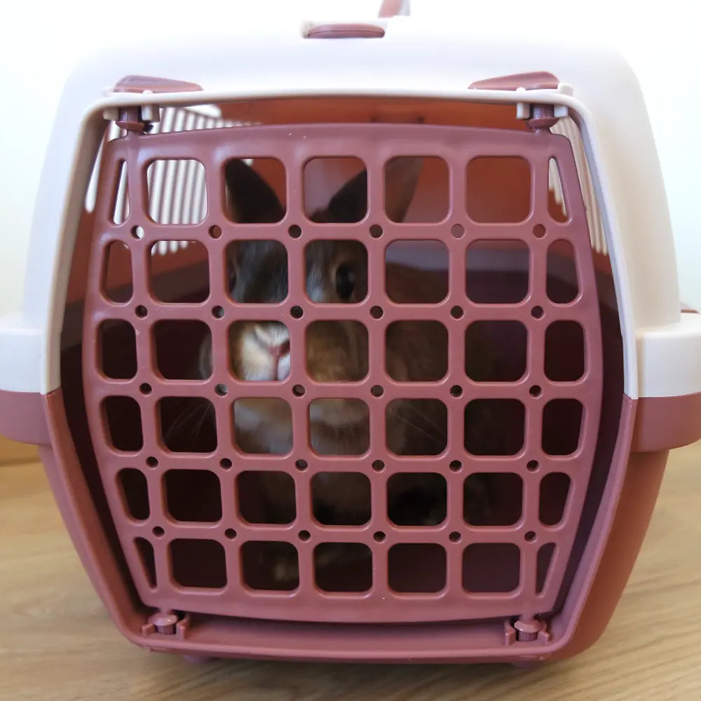Cage de transport pour lapin-clapiers & cages-Lapinou roudoudou