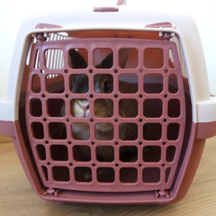Cage de transport pour lapin