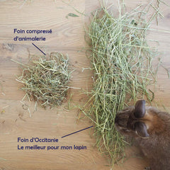 foin lapin qualité