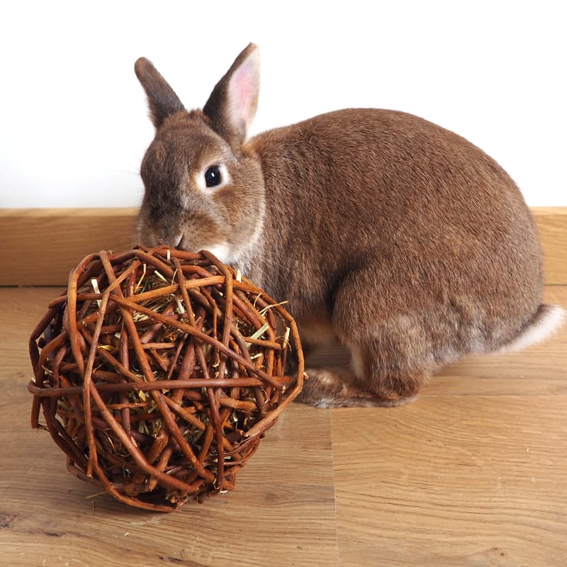 Balle De Foin Pour Lapin – Jouet à Mâcher Naturel – Diamètre 6 Cm – Pour L'usure Des Dents Et Le Jeu