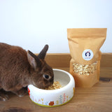 Chips de panais lapin