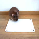 tapis rafraichissant lapin dessous